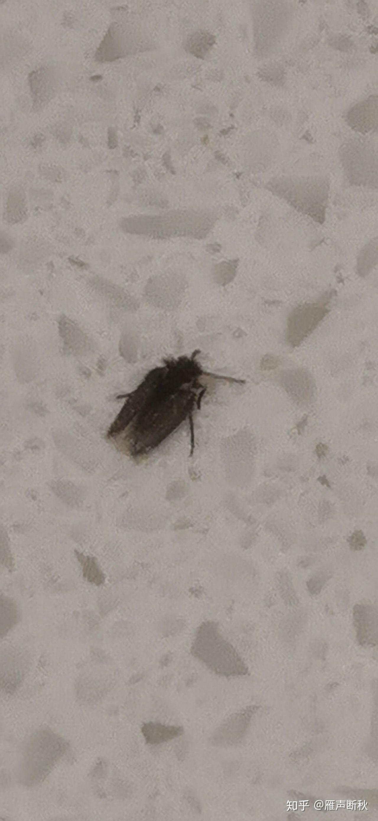娱乐生活 第136页