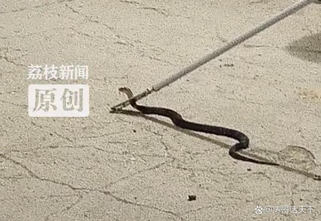 第828页