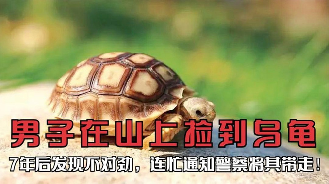 第766页
