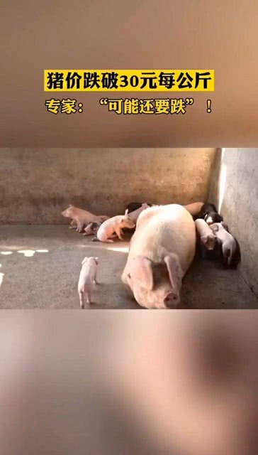 港澳新闻 第134页