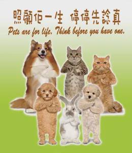 港澳新闻 第7页