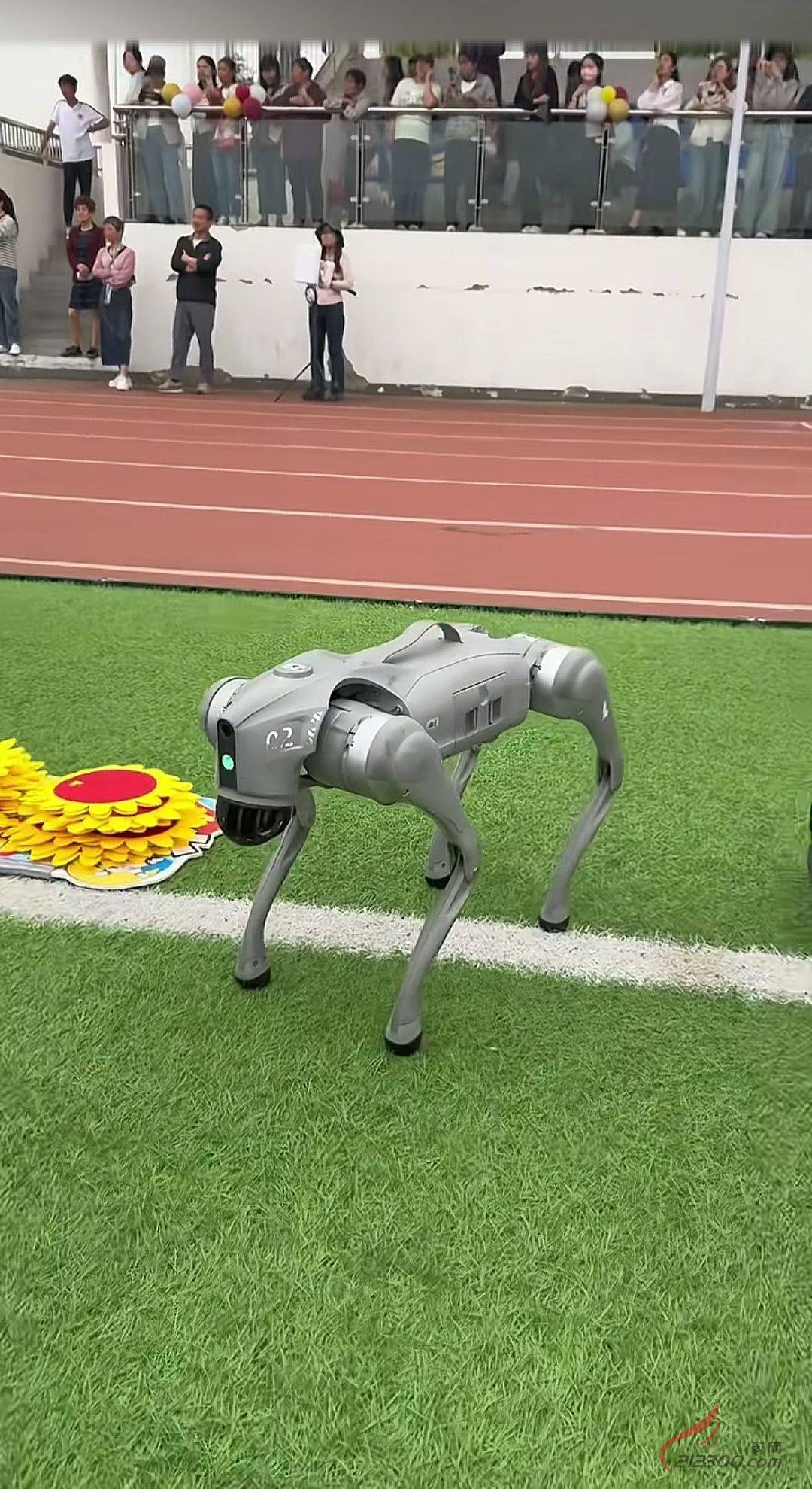 港澳新闻 第18页